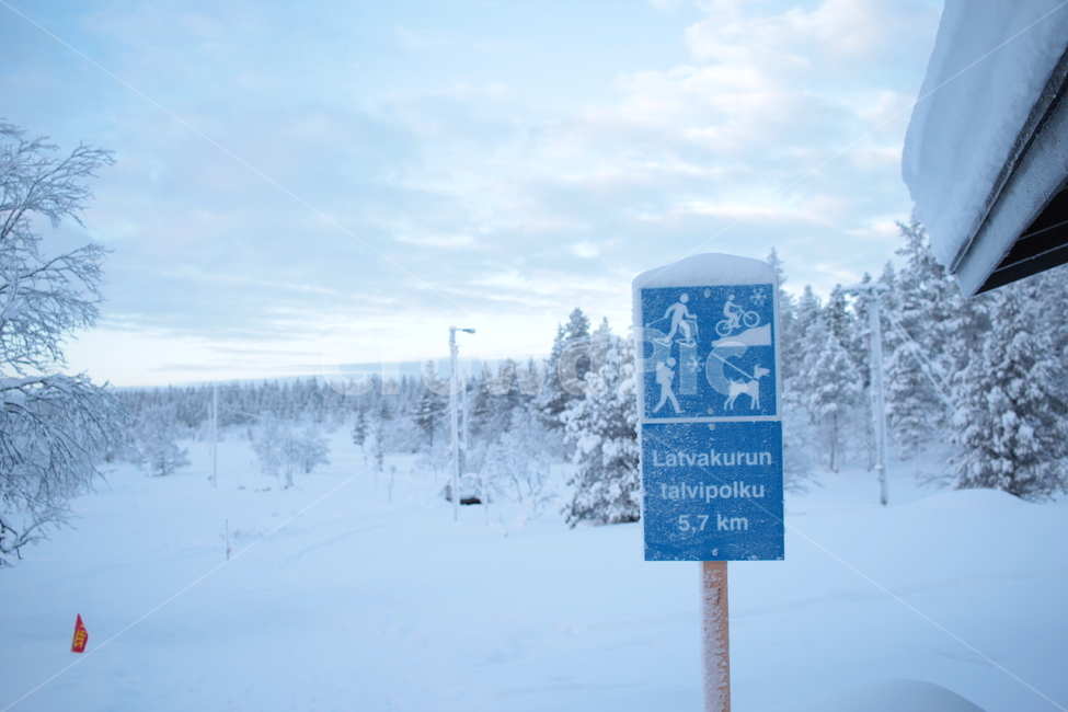 이정표,핀란드,트래킹,사리셀카,침엽수림,이나리,라플란드,설원,finland,겨울,계절,winter,season,자연,풍경,nature,landscape
