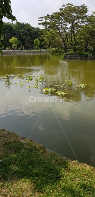 연못,고풍스런,자연,물,궁궐,자연,풍경,nature,landscape,water,land,땅,outdoors,옥외