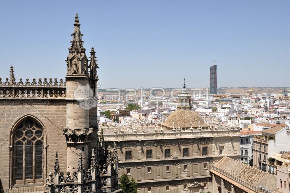스페인,세비야,세비야대성당,대성당,세비야전망,세비야시가지,스페인남부,스페인소도시,유럽소도시,안달루시아,city,urban,도시,town,해외,외국,세계,foreign,oversea,world