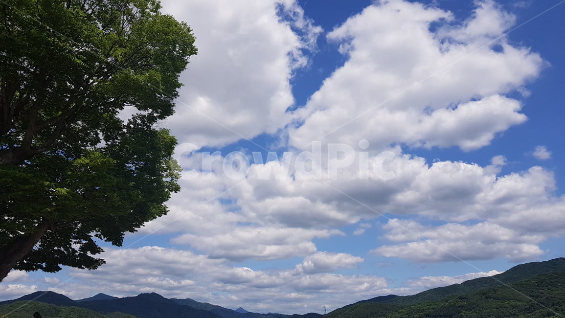 하늘,여름,청명함,파란하늘,여름하늘,맑은하늘