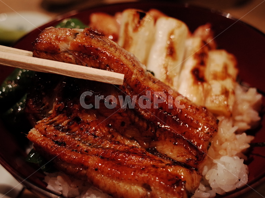 음식,food,장어,장어구이,장어구이덮밥,장어덮밥,덮밥,구운대파,음식,식재료,요리,food,cook,meal,dishes,food reserves,일식,일본음식,일본요리,Japanese food,Japanese dishes,Japanese meal,Japanese cook