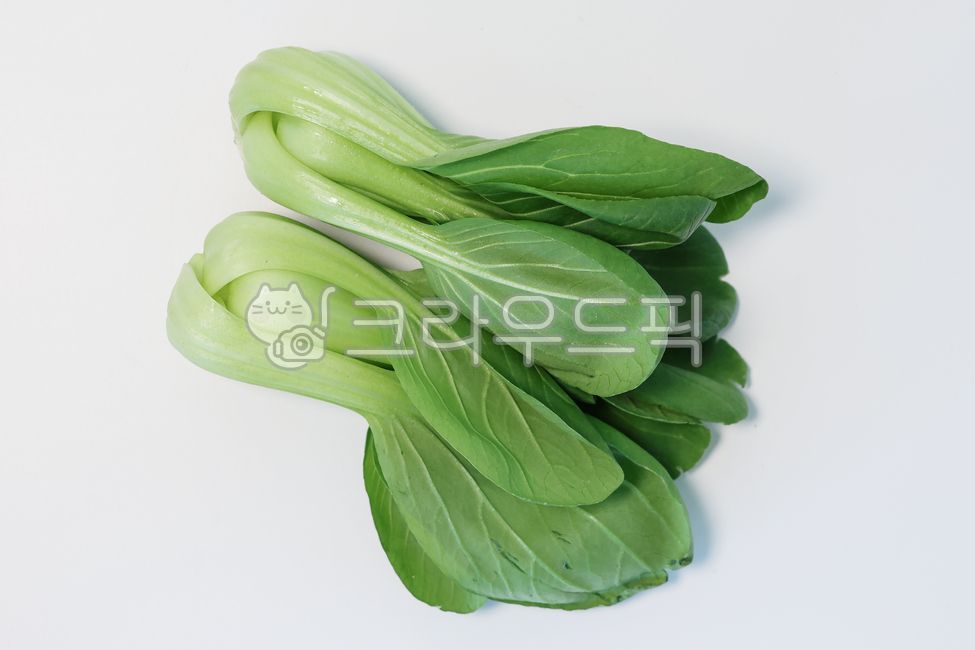 청경채,식재료,야채,채소,pakchoi,bokchoy,food,vegetable,음식,농산물,요리재료