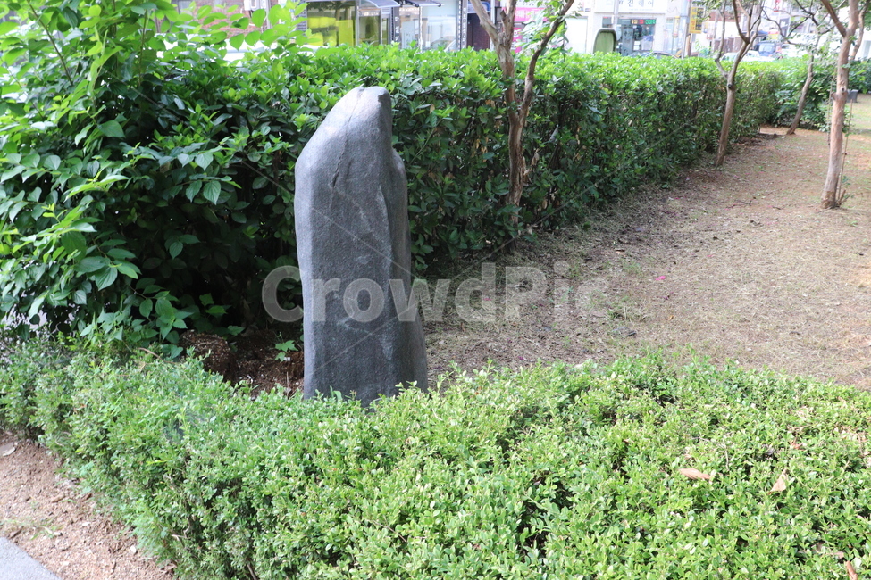 공원돌,돌,공원,풍경,여름공원,Stone,aparkstone