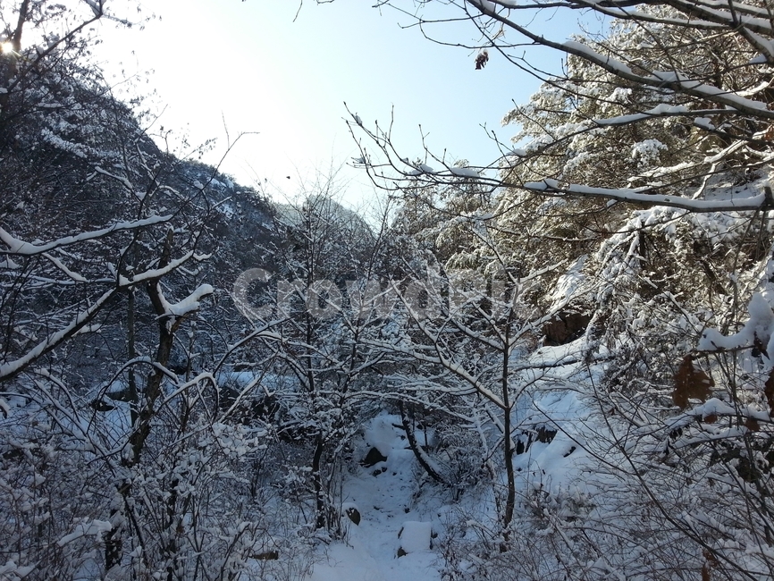 눈보라,눈,설경,눈꽃,겨울,폭설,겨울,계절,winter,season,자연,풍경,nature,landscape