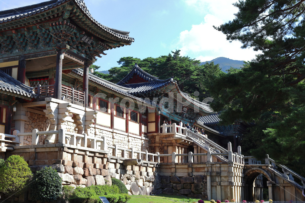불국사,자하문,백운교,청운교,중문,경주,신라,대웅전,통일신라,건물,건축물,building,architecture,기와,temple,신전,handrail,난간,banister,한국전통,한국문화,korean traditional,korean culture