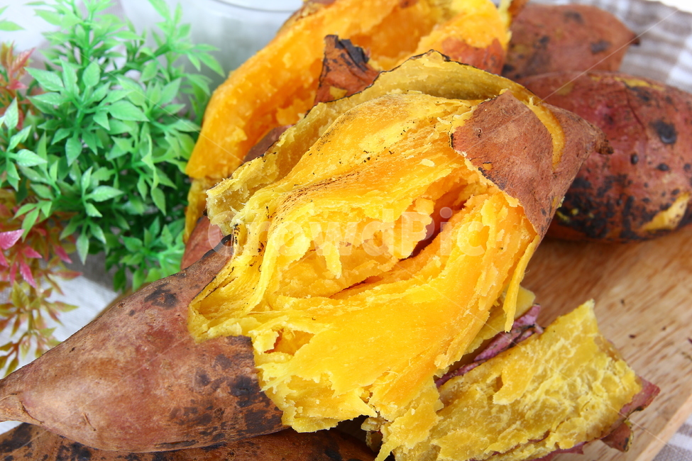 고구마,군구고마,구황작물,음식,식품,간식,호박고구마,밤고구마,달콤,sweetpotatoes,gourd,gourdcrop,food,snacks,sweet,음식,식재료,요리,food,cook,meal,dishes,food reserves,연출,컨셉,콘셉,direction,concept