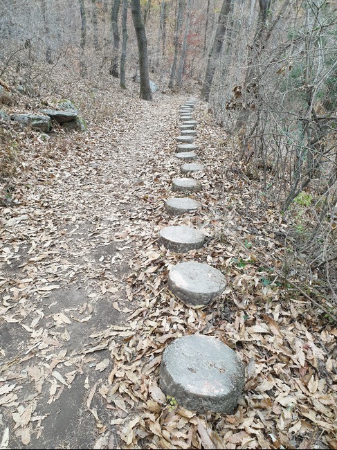ground,바닥,road,gravel,dirtroad,흙길,납엽,가을,산길,등산
