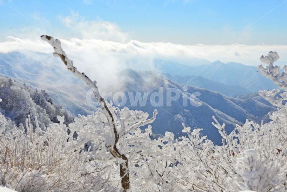 전북,무주,설천면,향적봉,겨울,설경,상고대,운해,outdoors,옥외,nature,자연,mountain,산,ice,빙,snow,눈,glacier,빙하,겨울,계절,winter,season,자연,풍경,nature,landscape,한국자연풍경,한국자연경관,korea nature landscape