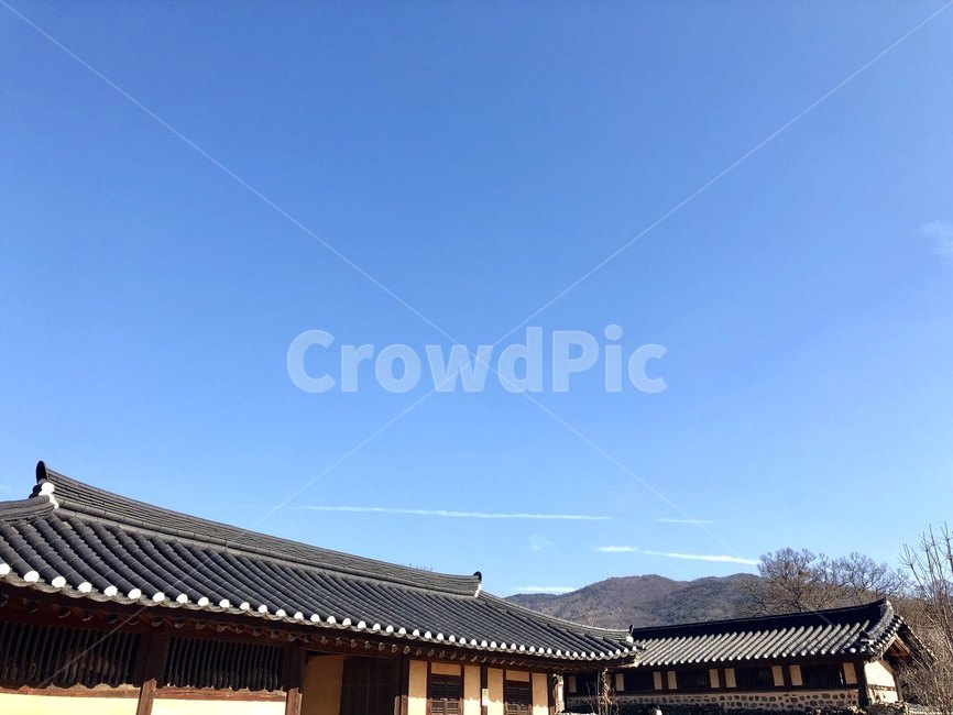 민속촌,한국,korea,질감,나무,자연,sky,꽃,돌,나뭇가지,하늘,roof,지붕,한국전통,한국문화,korean traditional,korean culture
