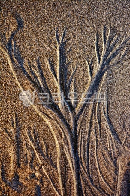 모래그림,모래,자연그림,자연,제주도,이호태우해수욕장,해안모래,추상