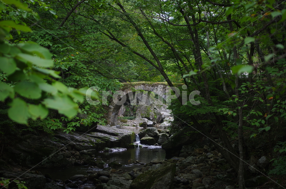 선암사,승선교,나무,계곡,여름,여름,계절,summer,season,자연,풍경,nature,landscape,한국자연풍경,한국자연경관,korea nature landscape,water,물,outdoors,옥외