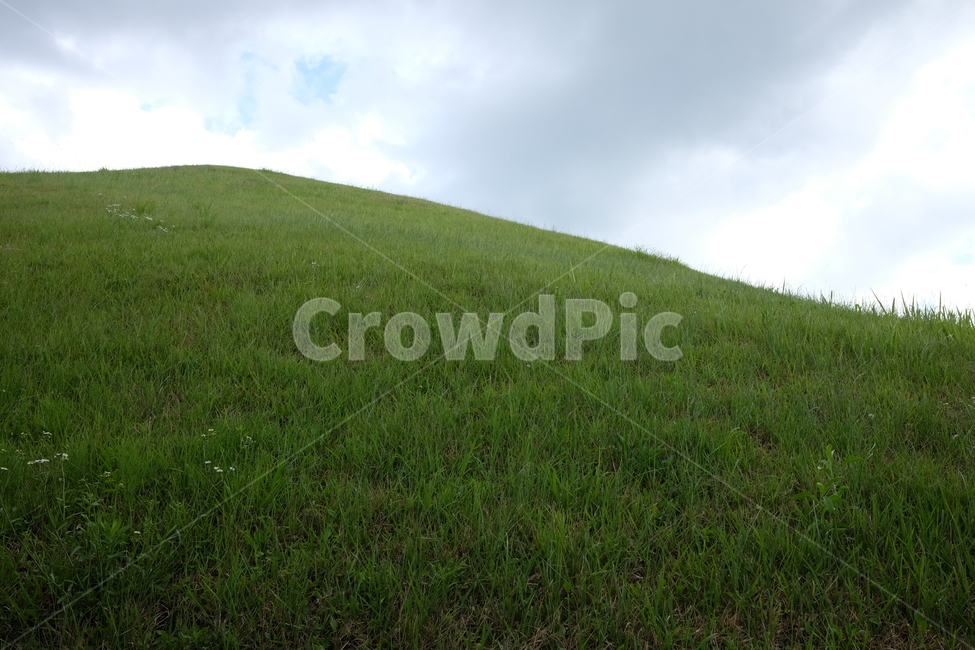 잔디,자연,풍경,언덕,풀,grass,nature