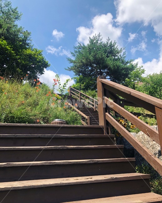 정원,계단,꽃,garden,올라가는길