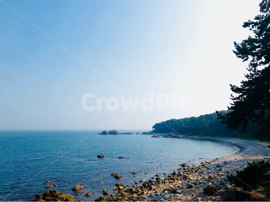 바다,파도,하늘,해변,여름,자연,풍경,자연,풍경,nature,landscape,제주도,jeju,jeju island,dirt road,흙길,road,도로,gravel,자갈,tree,나무,plant,식물