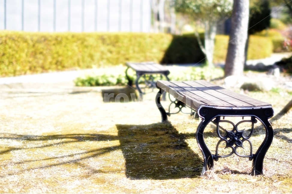 벤치,그림자,무늬,오후,햇살,봄,봄,계절,spring,season,휴식,힐링,rest,relaxation,healing,furniture,가구,bench,park bench,공원 벤치