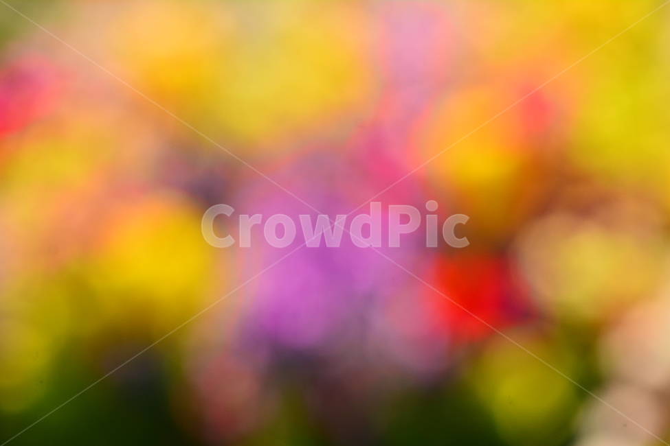 pink,color,catalog,yellow,dreamy,out of focus,spring,spring flowers,saturation,red,beautiful,spring image,sensibility,graphic source,advertisement,beautifulcolor,Emotion,Phil,flowers,green,violet,feeling,flower,Red,emotion,dream,background,purple,pastel t