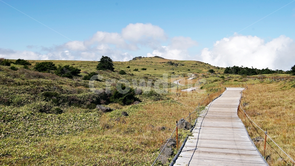 제주도,한라산,윗세오름,길,산책로,자연,하늘,구름,제주도,jeju,jeju island