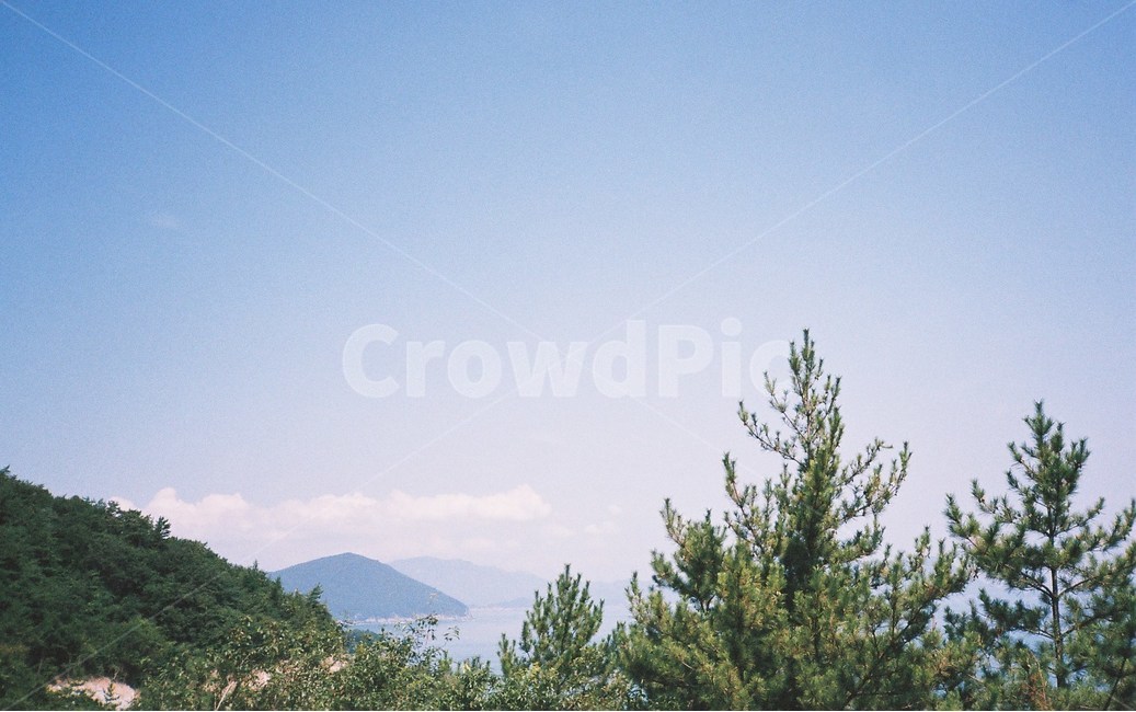 필름,필름사진,film,바다,sea,자연,nature,섬,island,나무,자연,풍경,nature,landscape