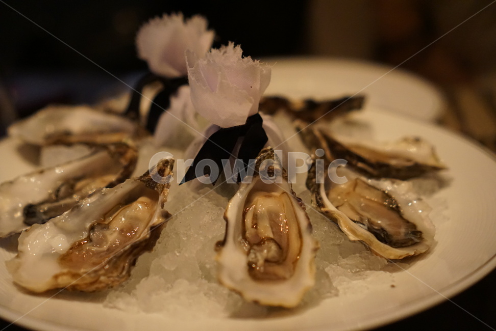 굴,석화,해산물,굴요리,음식,시푸드,oyster,seafood,food,레몬,레스토랑,고급요리,맛집