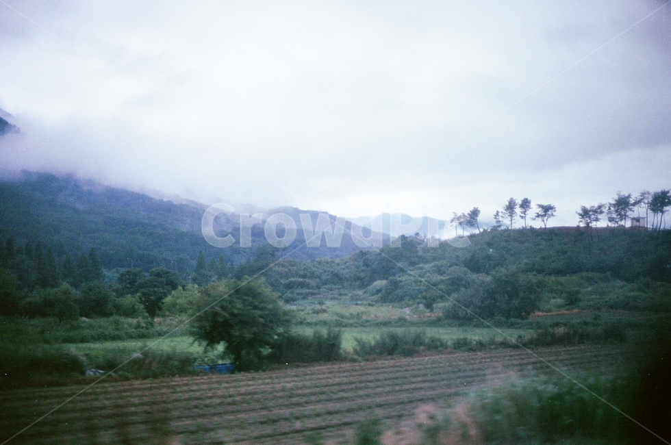 산,흐림,구름,안개,풍경,밭,나무,필름사진,자연,풍경,nature,landscape,outdoors,옥외