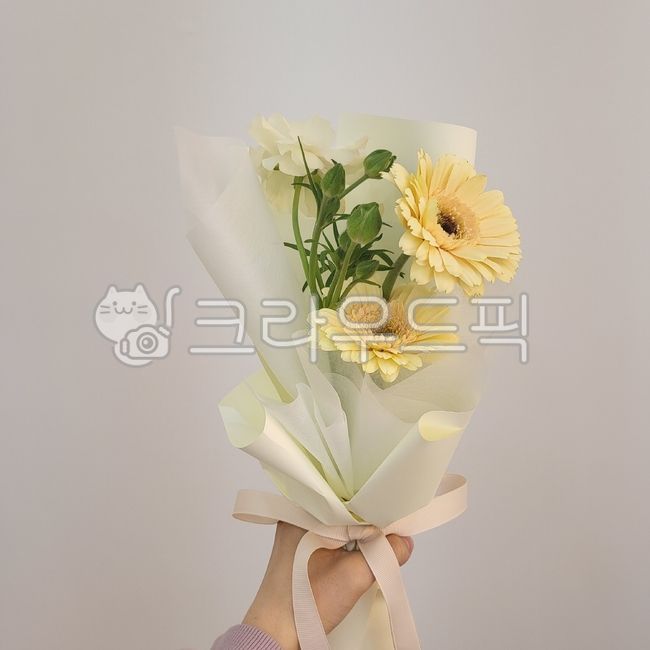 flower,꽃,flowerarrangement,꽃다발,거베라,노란꽃,flowerbouquet