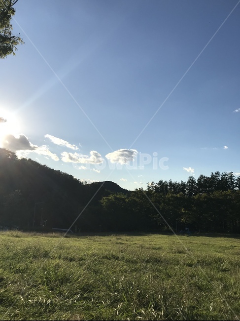 들판,하늘,공원,자연,풀밭,자연,풍경,nature,landscape,light,빛,flare,플레어