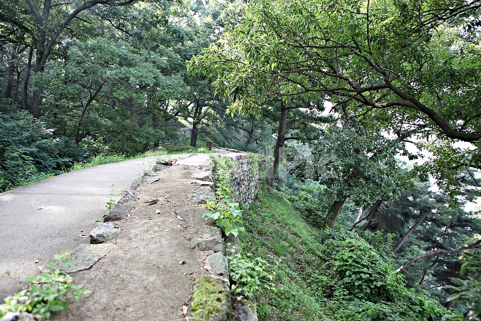 공주산성,성,산성,성곽,길,둘레길,숲,숲길,돌담,담,여름,풍경,흙담,벽,방어벽,나무,식물,유네스코등제