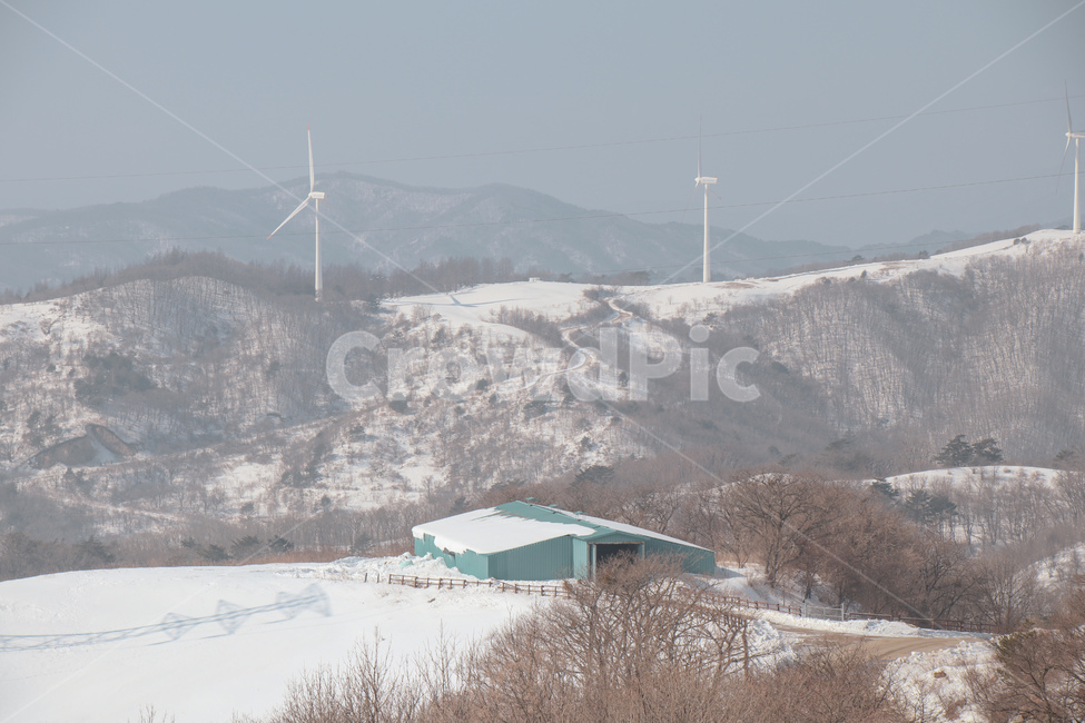 설경,대관령,하늘목장,평창,겨울,대관령하늘목장,눈,산,양떼목장,자연