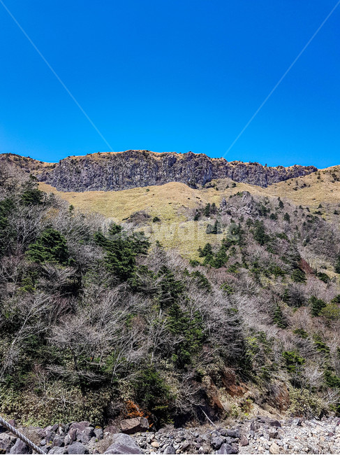 자연,경치,한라산,풍경,제주,제주도,감성,맑음,봄,휴식,등산,힐링,산,바위,nature,jeju,emotion,landscape,scenery,hiking,spring,hallasan,rock,rest,healing,자연,풍경,nature,landscape,한국자연풍경,한국자연경관,korea nature landscape,제주도,jeju,jeju island,outdoors,옥외