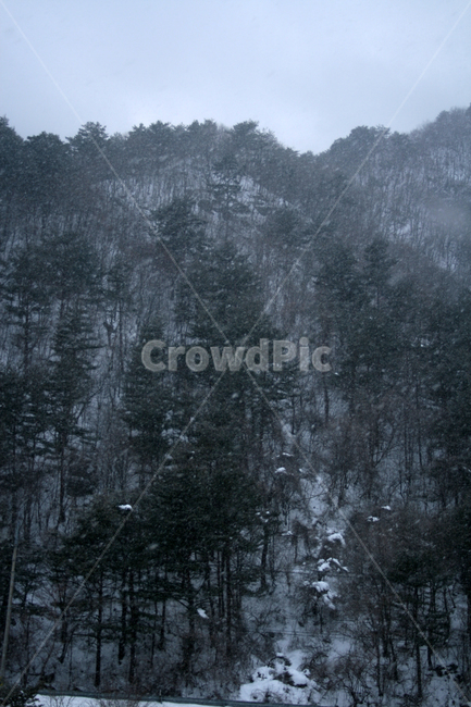 겨울,산,눈,winter,snow,겨울,계절,winter,season,자연,풍경,nature,landscape,outdoors,옥외,tree,나무,plant,식물