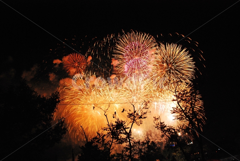 불꽃놀이,불꽃축제,축제,불꽃,불빛,야경,나무,빛,야경,밤,풍경,nightscape,night,landscape,축제,행사,festival,carnival,event,nature,자연,outdoors,옥외