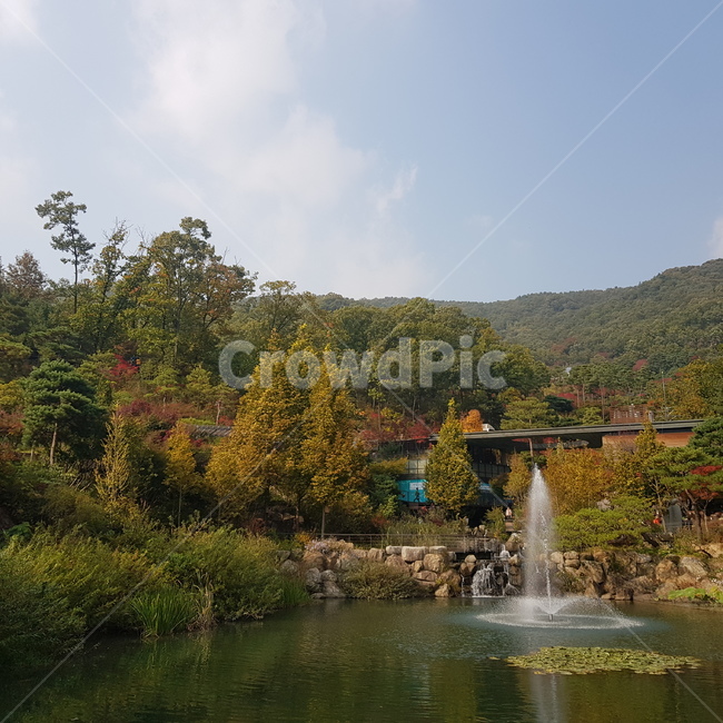 분수,가을하늘,가을,풍경,단풍,단풍나무,은행나무,단풍구경,물,water,nature,자연,outdoors,옥외,가을,계절,fall,autumn,season,자연,풍경,nature,landscape