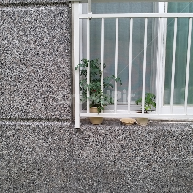 베란다,창문,창가,외벽,화분
