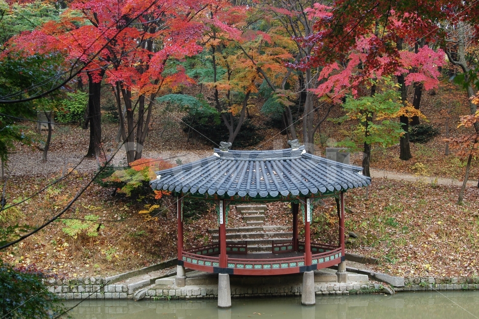 가을,단풍,창덕궁,비원,후원,가을풍경,정자,한국,한국전통,관람정,나뭇잎,자연,풍경,전통건축,자연,풍경,nature,landscape,가을,계절,fall,autumn,season,랜드마크,landmark,tourist attraction,한국전통,한국문화,korean traditional,korean culture
