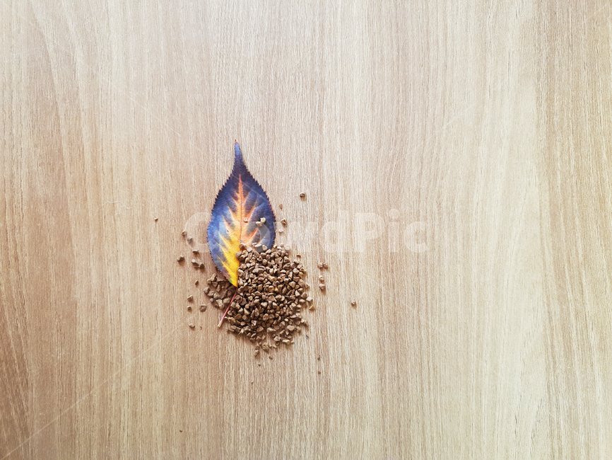 fallenleaves,maple,coffee,leaf,woody,단풍,낙엽,잎,잎사귀,감잎,가을,분위기,커피,나뭇잎,나무잎,배경,가을,계절,fall,autumn,season,식물,자연,plants,nature,커피,카페,coffee,cafe