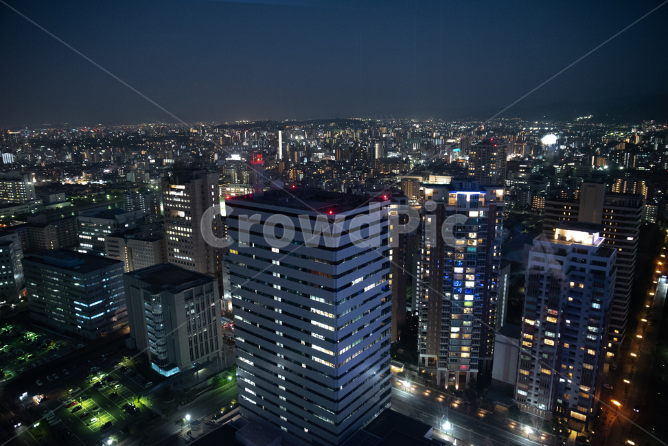 일본,야경,후쿠오카,후쿠오카타워,저녁야경,야경,밤,풍경,nightscape,night,landscape,도시,city,해외,외국,세계,foreign,oversea,world,세계도시풍경,해외도시풍경,외국도시풍경,world cityscape,경치,outdoors,옥외,nature,자연,scenery,aerial view,조감도