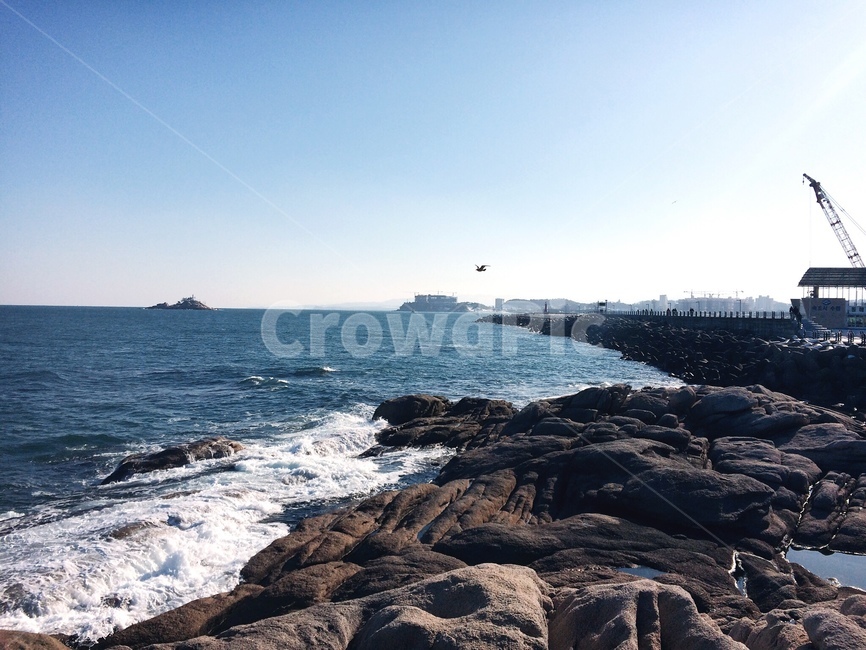 비다,겨울바다,하늘,파도,바닷가풍경,맑은하늘,새,sea,sky,winterbeach,속초바다,자연,풍경,nature,landscape,promontory,곶