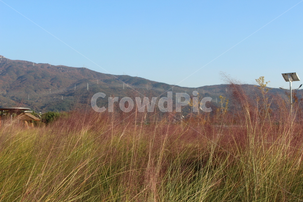 nature,자연,outdoors,옥외,풍경