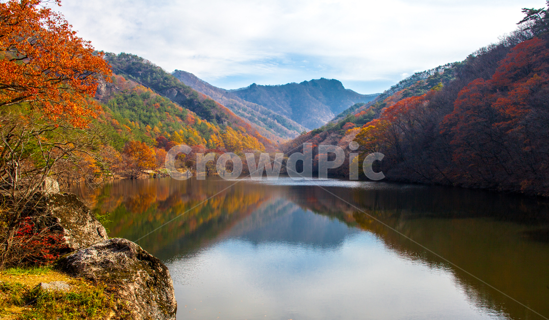 가을,주산지,관광,청송,낙엽,가을,계절,fall,autumn,season,자연,풍경,nature,landscape,한국자연풍경,한국자연경관,korea nature landscape,outdoors,옥외,mountain,산,mountain range,산맥,water,물