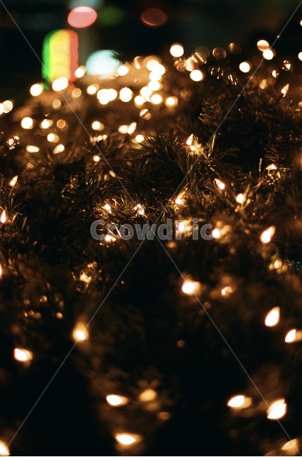 조명,lights,필름,필름카메라,필름사진,크리스마스,트리,크리스마스트리,film,filmcamera,christmas,christmastree,메리크리스마스,성탄절,merry christmas