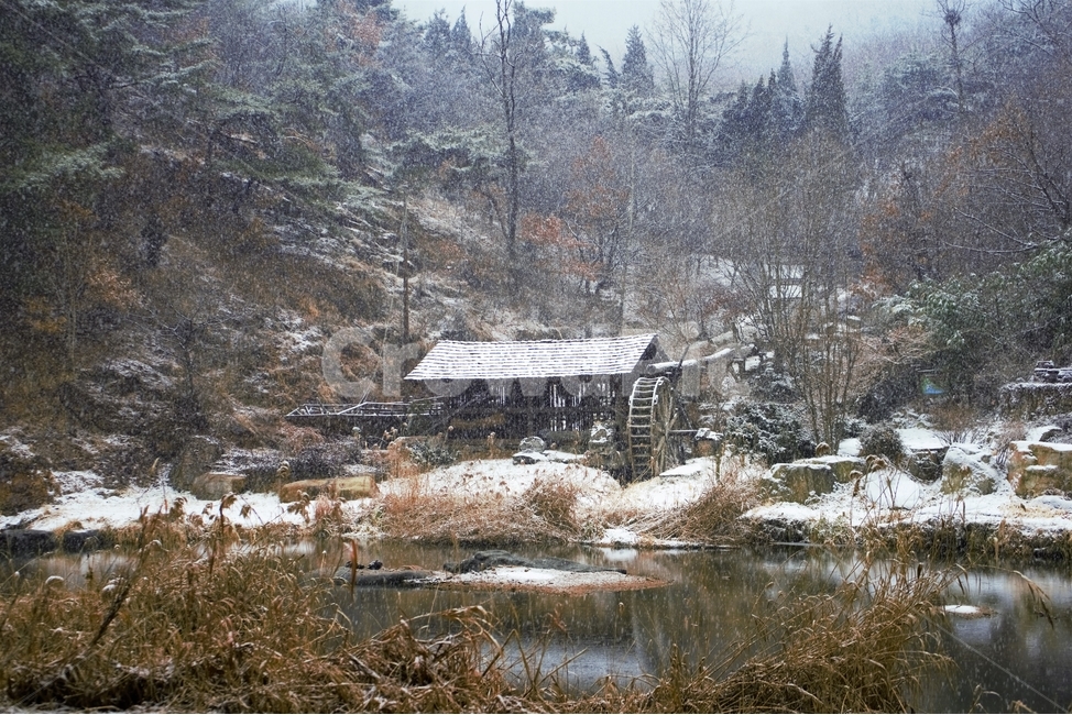 겨울,눈,물레방아,너와집,자연,계절,winter,감성,기분,feeling,watermill,snow,지붕,숲,나무,갈대,홍제천,겨울,계절,winter,season,자연,풍경,nature,landscape,한국자연풍경,한국자연경관,korea nature landscape,시골,마을,country,rural,town,plant,식물,tree,나무,abies,아비,fir,전나무,outdoors,옥외,land,땅