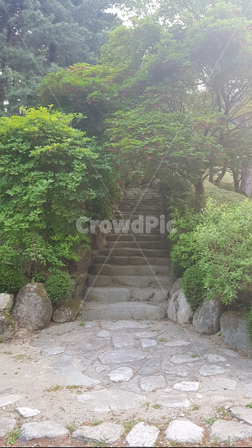 돌계단,나무,수풀,돌다리,정원