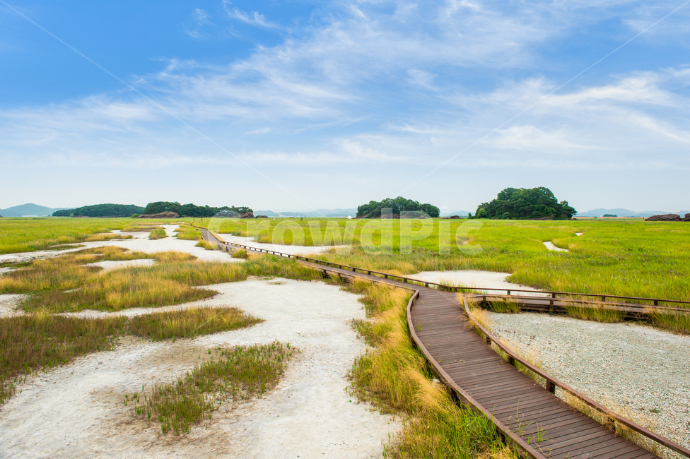 land,땅,nature,자연,길,들판,하늘,sky,자연,풍경,nature,landscape