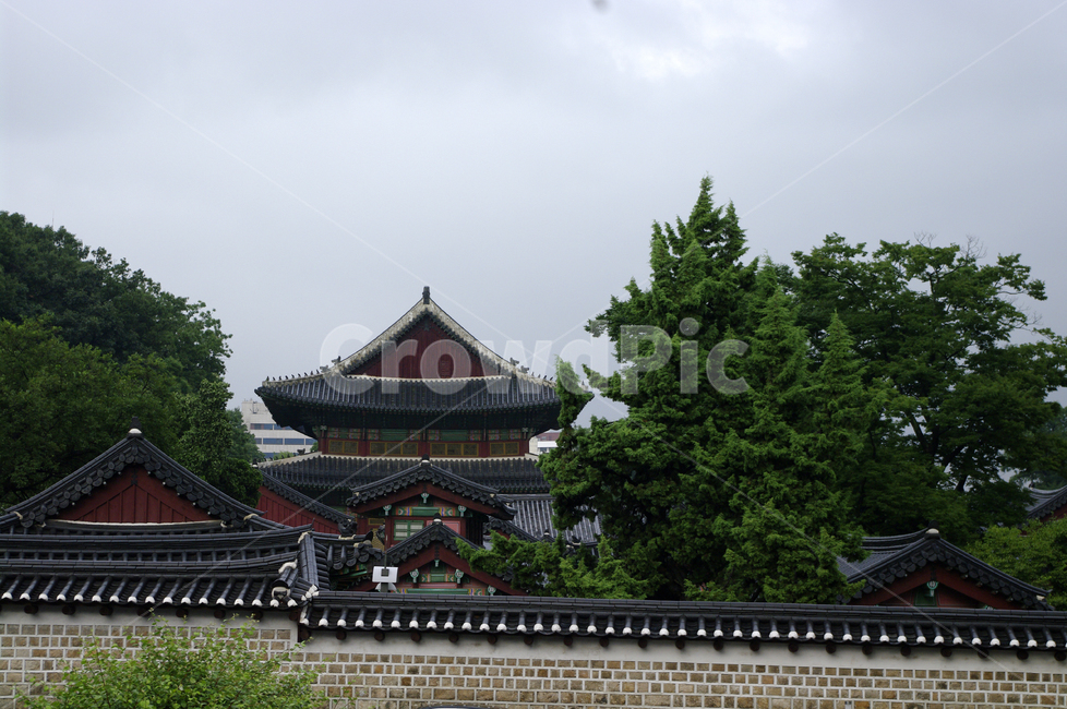 창덕궁,고궁,한옥,전통가옥,기와지붕,건축,traditional,나무,한국전통,한국문화,korean traditional,korean culture,랜드마크,landmark,tourist attraction,한국랜드마크,한국관광지,한국명소,korea landmark,korea tourist attraction,건축물,건물외관,exterior,building,structure,architecture,construction