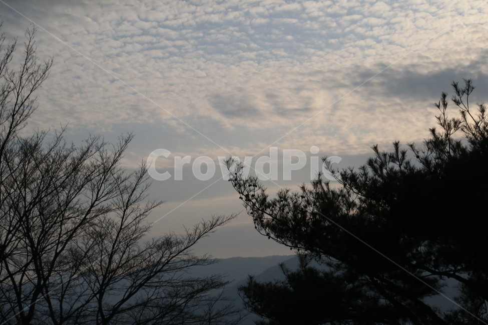 sky,cloud,Jiri Mountain,branch,flock of clouds,winter sky
