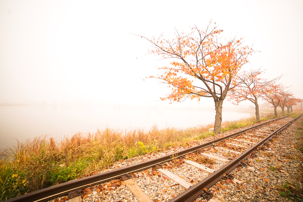 철로,가을,단풍,풍경,철길,나무,안개,호수,낙엽,가을,계절,fall,autumn,season,자연,풍경,nature,landscape,railway,철도,train track,기찻길,rail,레일,transportation,교통
