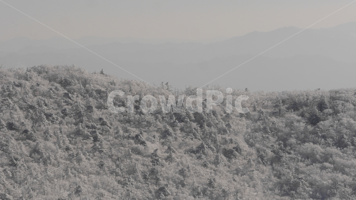 설경,경치,눈꽃,등산,눈,원경,산,자연,겨울,풍경,태백산,겨울,계절,winter,season,자연,풍경,nature,landscape