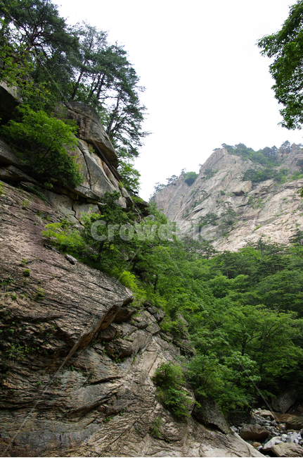 산,바위,암석,풍경,나무,설악산,자연,풍경,nature,landscape,cliff,낭떠러지,outdoors,옥외