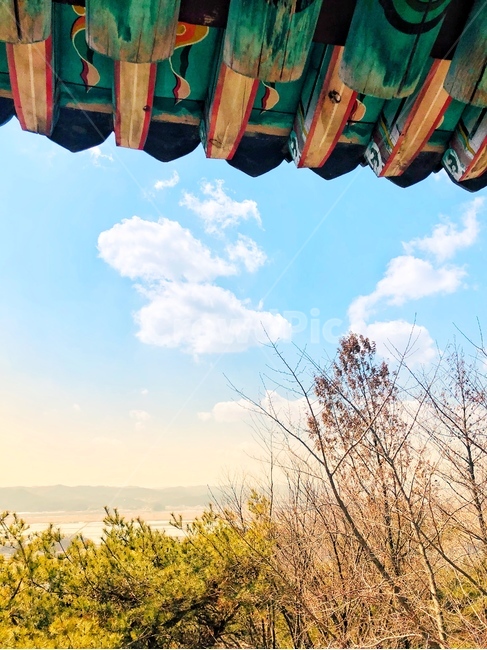 nature,자연,outdoors,옥외,하늘,구름,나무,풍경