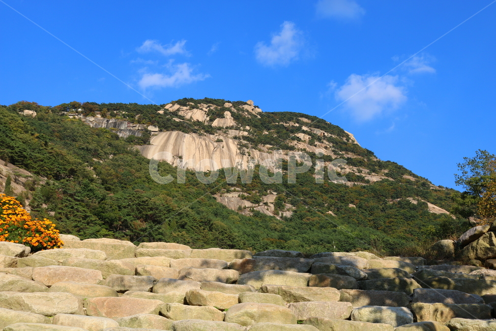 북한산,산,자연,풍경,나무,공원,국립공원,산책로,등산로,원효봉,북한산국립공원,하늘,맑은하늘,꽃,메리골드,천수국,계단,돌계단,자연,풍경,nature,landscape